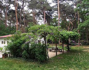 Guest house 044215 - Bungalow Antwerp - Het Beerenbos