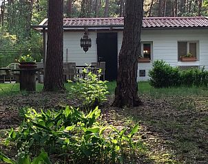 Guest house 044215 - Bungalow Antwerp - Het Beerenbos