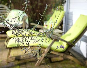 Guest house 044215 - Bungalow Antwerp - Het Beerenbos