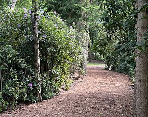 Guest house 047310 - Holiday property Antwerp - Vakantiehuisje in Arendonk