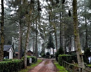 Guest house 047701 - Chalet Antwerp - Chalet Sigal met natuur, rust, comfort en privacy!