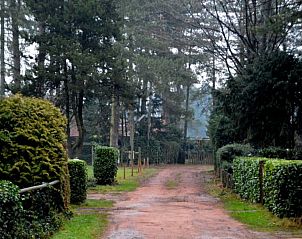 Guest house 047701 - Chalet Antwerp - Chalet Sigal met natuur, rust, comfort en privacy!