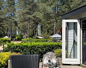 Guest house 047701 - Chalet Antwerp - Chalet Sigal met natuur, rust, comfort en privacy!