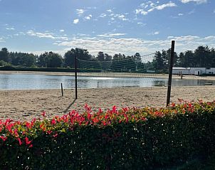 Guest house 047701 - Chalet Antwerp - Chalet Sigal met natuur, rust, comfort en privacy!