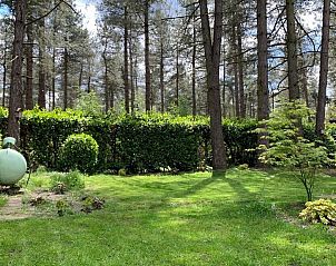 Guest house 047701 - Chalet Antwerp - Chalet Sigal met natuur, rust, comfort en privacy!