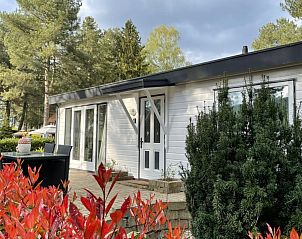 Guest house 047701 - Chalet Antwerp - Chalet Sigal met natuur, rust, comfort en privacy!