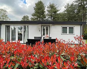 Guest house 047701 - Chalet Antwerp - Chalet Sigal met natuur, rust, comfort en privacy!