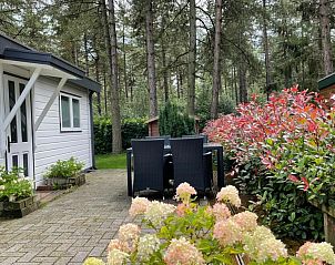 Guest house 047701 - Chalet Antwerp - Chalet Sigal met natuur, rust, comfort en privacy!