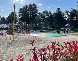 Guest house 047701 - Chalet Antwerp - Chalet Sigal met natuur, rust, comfort en privacy!