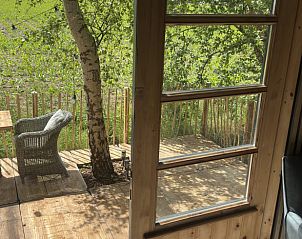 Guest house 047709 - Holiday property Antwerp - Vakantiehuis in Poppel