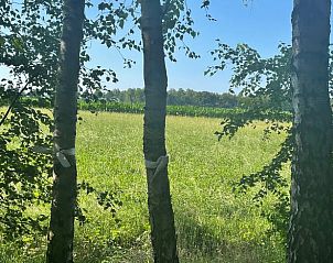 Guest house 047709 - Holiday property Antwerp - Vakantiehuis in Poppel