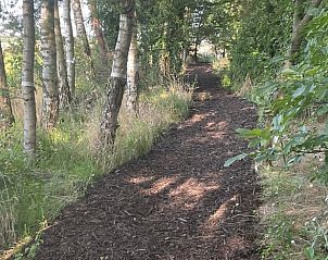 Guest house 047709 - Holiday property Antwerp - Vakantiehuis in Poppel