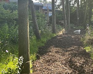 Guest house 047710 - Holiday property Antwerp - Vakantiehuis in Poppel