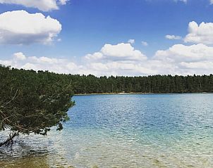 Guest house 048007 - Holiday property Antwerp - Huisje in Wechelderzande