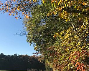 Guest house 048007 - Holiday property Antwerp - Huisje in Wechelderzande