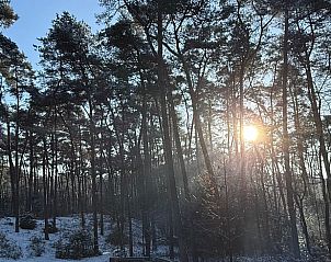 Unterkunft 048007 - Ferienhaus Antwerpen - Huisje in Wechelderzande