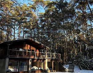 Unterkunft 048007 - Ferienhaus Antwerpen - Huisje in Wechelderzande