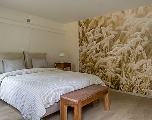 Guest house 048609 - Holiday property Antwerp - gouden-moment