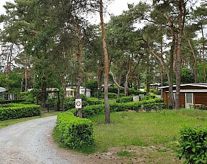 Guest house 048615 - Chalet Antwerp - L'Ecureuil