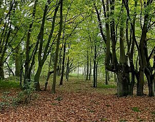 Unterkunft 048801 - Ferienhaus Antwerpen - Vakantiehuisje in Kessel
