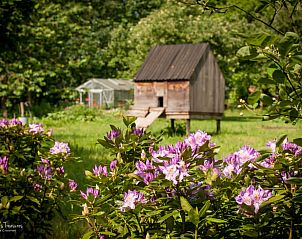 Unterkunft 048801 - Ferienhaus Antwerpen - Vakantiehuisje in Kessel