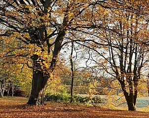 Unterkunft 048801 - Ferienhaus Antwerpen - Vakantiehuisje in Kessel