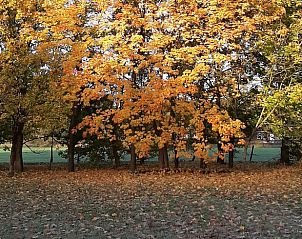 Unterkunft 048801 - Ferienhaus Antwerpen - Vakantiehuisje in Kessel