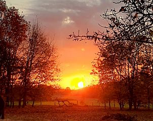 Unterkunft 048801 - Ferienhaus Antwerpen - Vakantiehuisje in Kessel