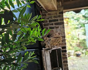 Guest house 050210 - Holiday property Limburg - Vakantiehuisje in Voeren