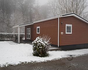 Guest house 050232 - Holiday property Limburg - Vakantiehuis Camping Natuurlijk Limburg - Chalet 4