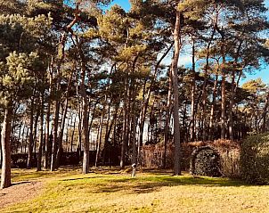 Guest house 050409 - Holiday property Limburg - Vakantievilla�t Boshuys