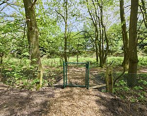 Guest house 050439 - Holiday property Limburg - Villa Bosrijk