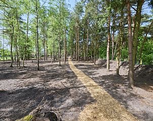 Guest house 050439 - Holiday property Limburg - Villa Bosrijk