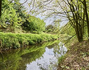 Guest house 050439 - Holiday property Limburg - Villa Bosrijk