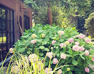 Verblijf 050605 - Vakantiewoning Limburg - Abel-Guesthouse-Gardenhouse