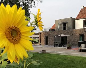 Unterkunft 050703 - Ferienhaus Limburg - Vakantiehuisje in Maaseik