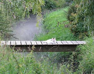 Unterkunft 050703 - Ferienhaus Limburg - Vakantiehuisje in Maaseik
