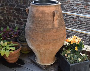 Verblijf 050707 - Vakantiewoning Limburg - De Koddige Kater