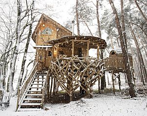 Baumhaus-Ferienhaus in Maaseik, Limburg, Belgien, umgeben von Natur mit Holzveranda und einzigartiger Architektur.