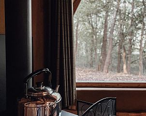 Hobbit House in Maaseik, Belgien: gemtliche Einrichtung des Ferienhauses mit Blick auf den ruhigen Wald in Limburg.