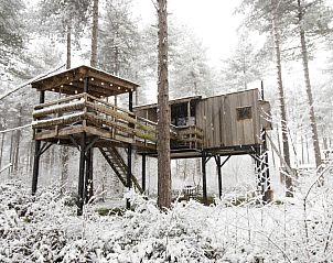 Baumkronen-Ferienhaus mit Whirlpool in Maaseik, Limburg, Belgien, umgeben von verschneiten Wldern fr ein einzigartiges Wintererlebnis.