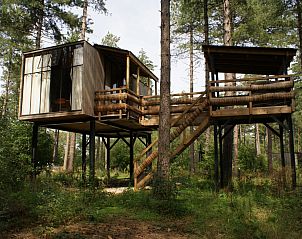 Baumkronen- und Whirlpool-Ferienhaus in Maaseik, Limburg, Belgien, umgeben von Natur und Bumen, ideal fr ein einzigartiges Aufenthaltserlebnis.