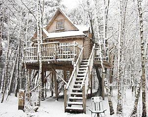 Verblijf 050728 - Vakantiewoning Limburg - Tree House