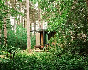 Verblijf 050729 - Vakantiewoning Limburg - Sweet Cabin