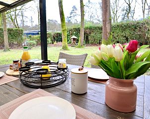 Verblijf 051011 - Vakantiewoning Limburg - Sonnig Bungalow