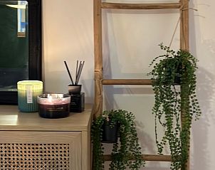 Cozy indoor area of Cottage in Lanaken, Limburg, Belgium with attractive decoration and green plants for a relaxing vacation feeling.