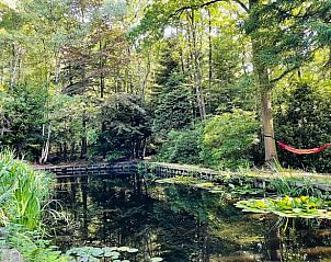Erholsame Natur im Cottage in Lanaken, Ferienhaus in Limburg, Belgien, mit einem ruhigen Teich und grner Umgebung.