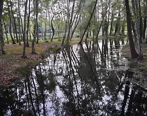 Guest house 0510702 - Holiday property Limburg - Het Zalige Hoekje 