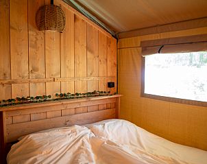 Unterkunft 051082 - Zelthaus Limburg - Forest Lodge incl. sanitair