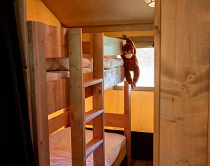 Unterkunft 051082 - Zelthaus Limburg - Forest Lodge incl. sanitair